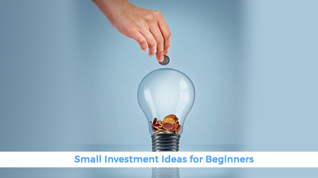 Small Investment Ideas for Beginners