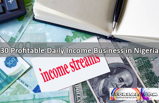 30 Profitable Daily Income Business in Nigeria