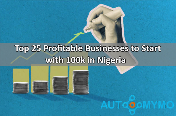 Top 25 Profitable Businesses to Start with 100k in Nigeria